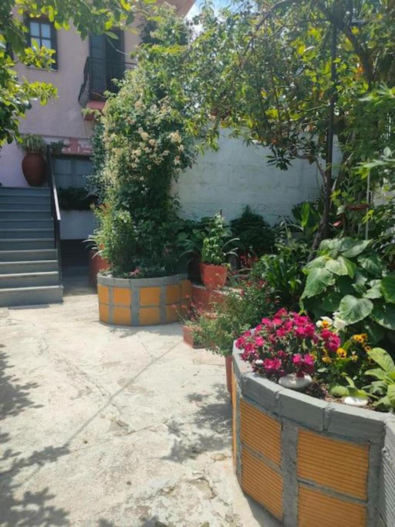Hara'S House Pelion Apartment Makrirrákhi Exterior foto